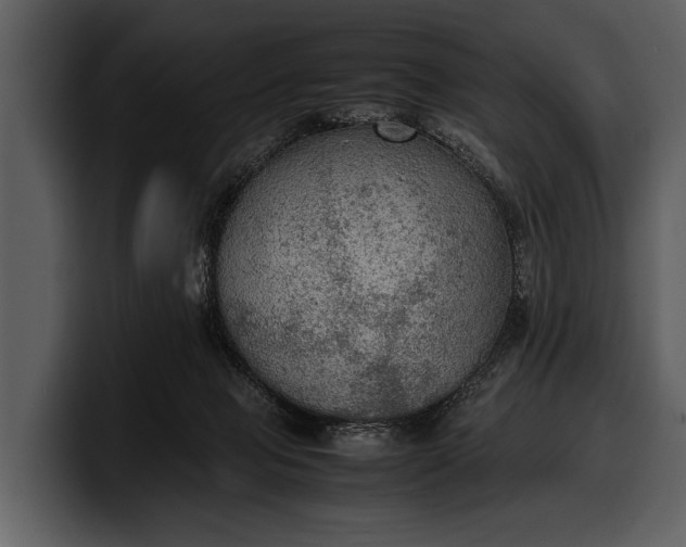 X0000100310077200806190951