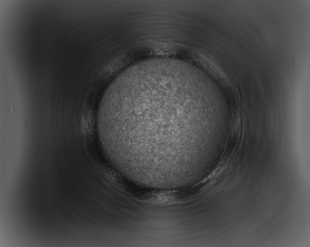 X0000100310078200806190951