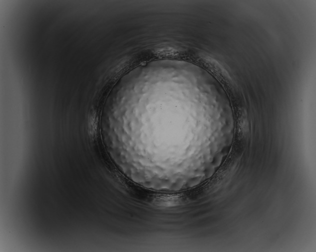 X0000100310081200806190951