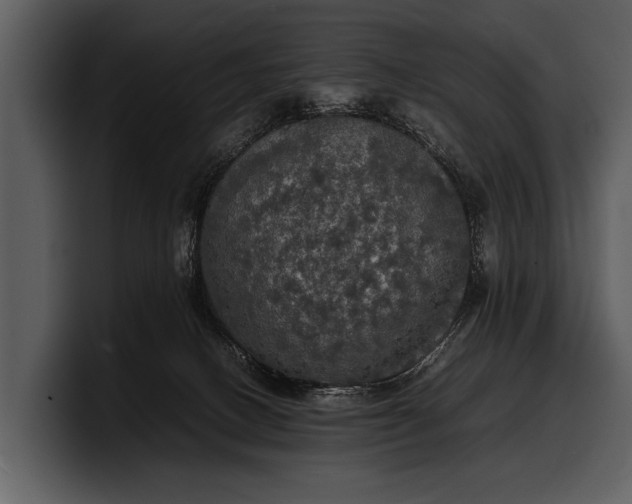 X0000100310082200806190951