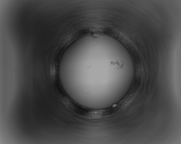 X0000100310084200806190951