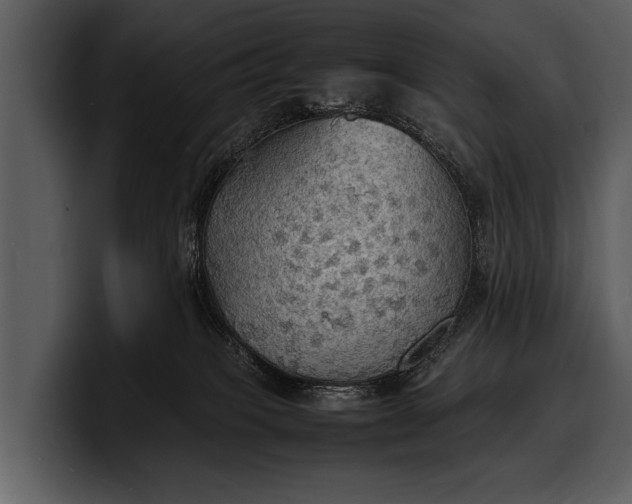 X0000100310085200806190951