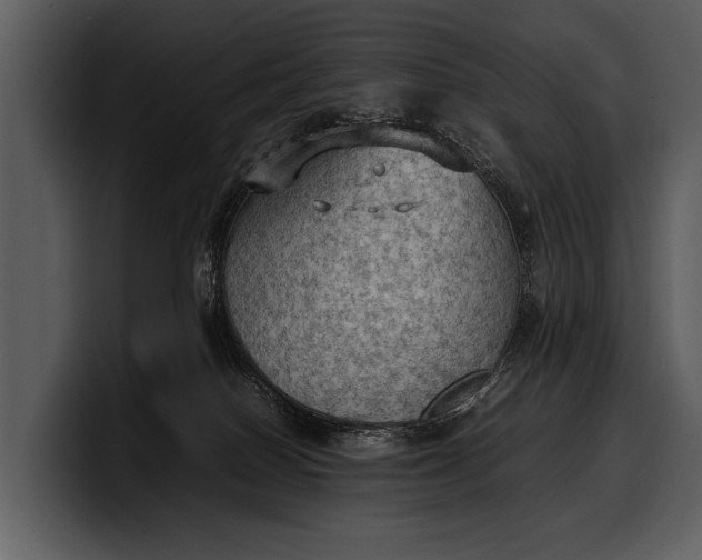 X0000100310086200806190951