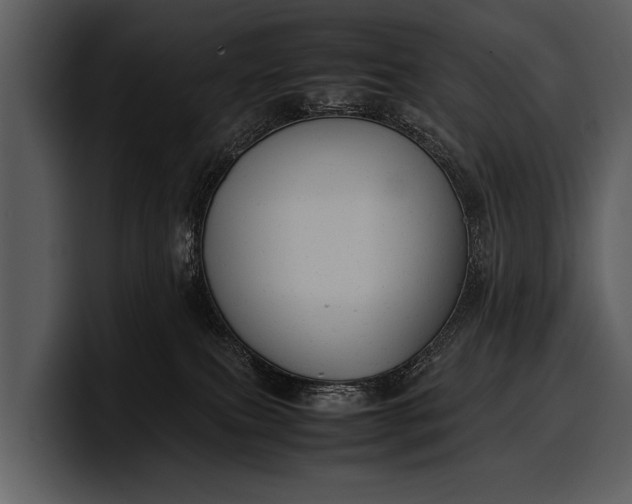 X0000100310087200806190951