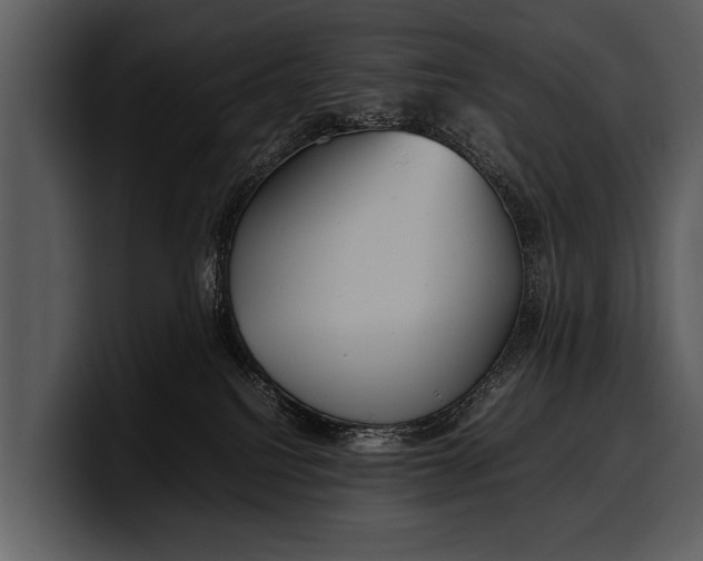 X0000100310088200806190951