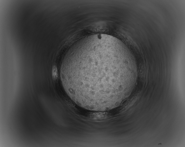 X0000100310089200806190951