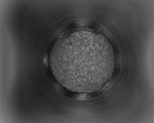 X0000100310090200806190951