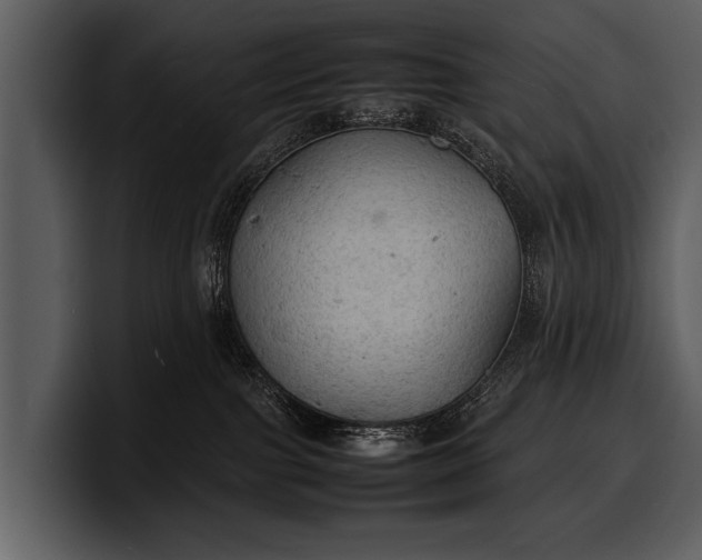 X0000100310091200806190951