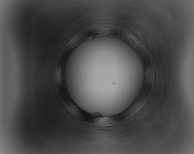 X0000100310092200806190951