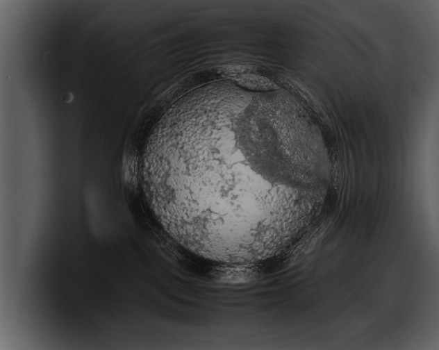 X0000100310093200806190951