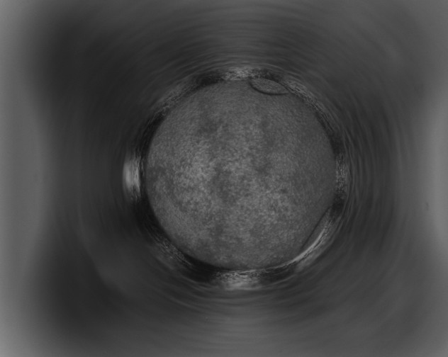 X0000100310094200806190951