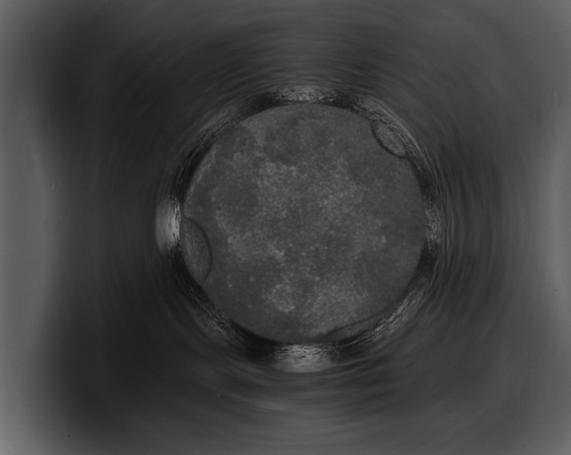 X0000100310095200806190951