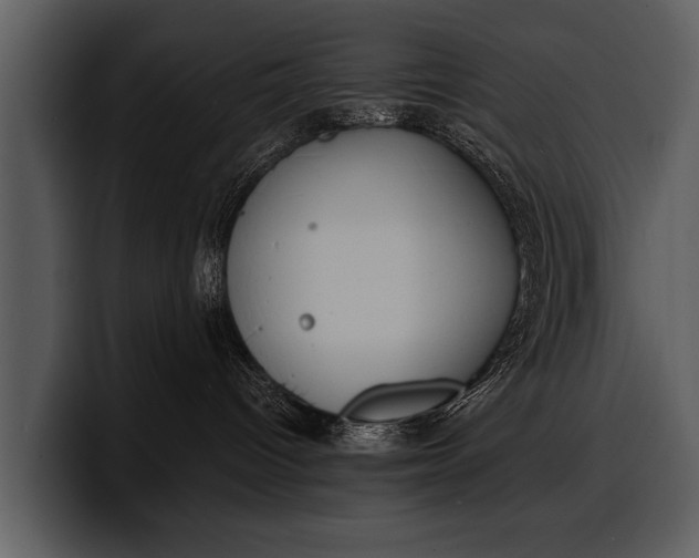 X0000100310096200806190951