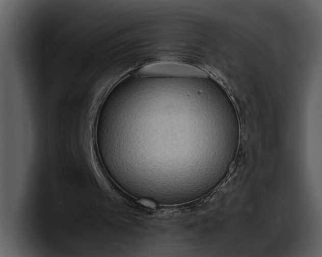 X0000100310097200806190950