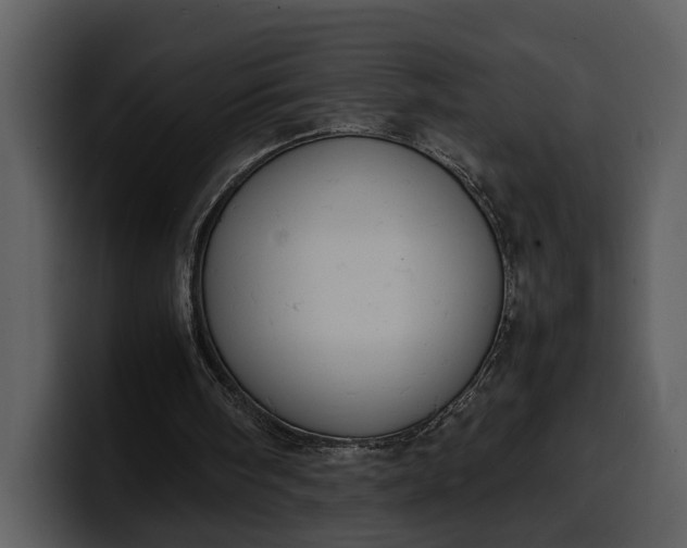 X0000100310098200806190950