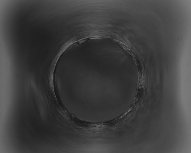 X0000100310099200806190950