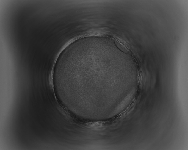 X0000100310100200806190950