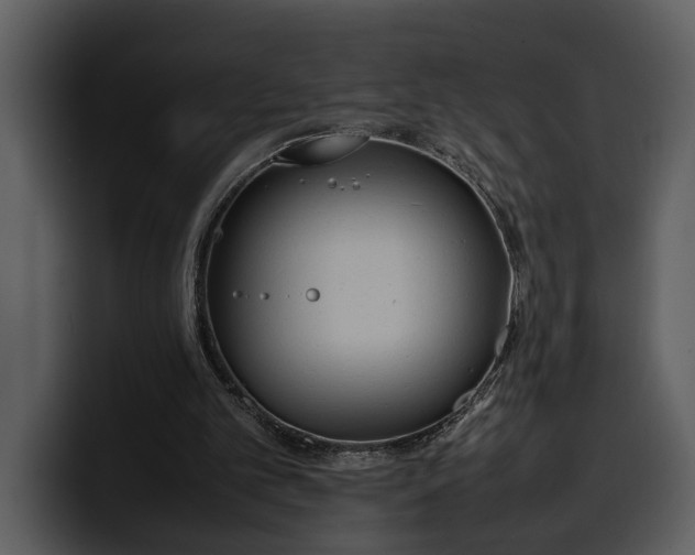 X0000100310101200806190950