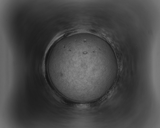 X0000100310102200806190950