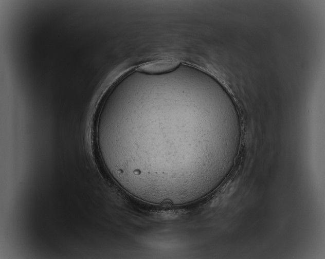 X0000100310103200806190950