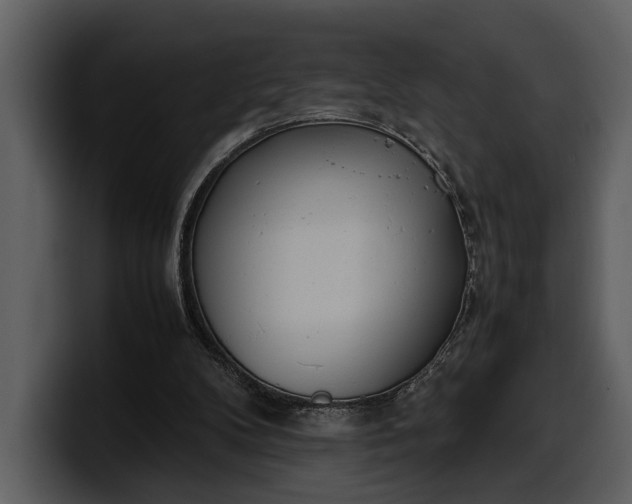 X0000100310104200806190950