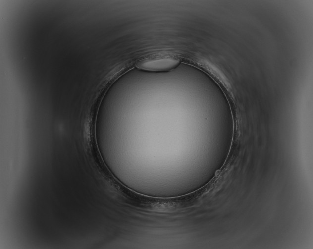 X0000100310105200806190950