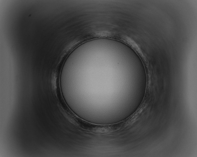 X0000100310106200806190950