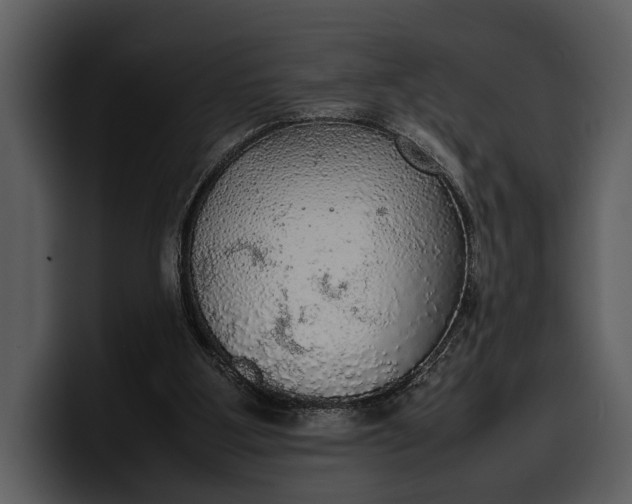 X0000100310107200806190950