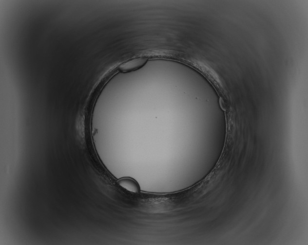 X0000100310108200806190950