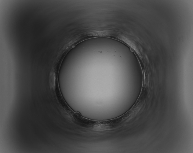 X0000100310109200806190950