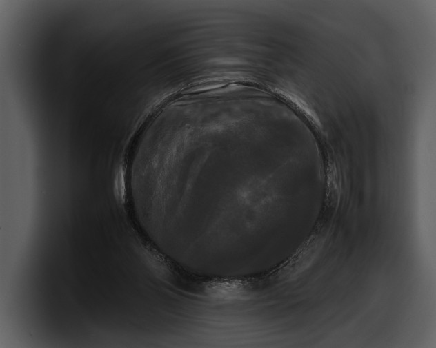 X0000100310110200806190950