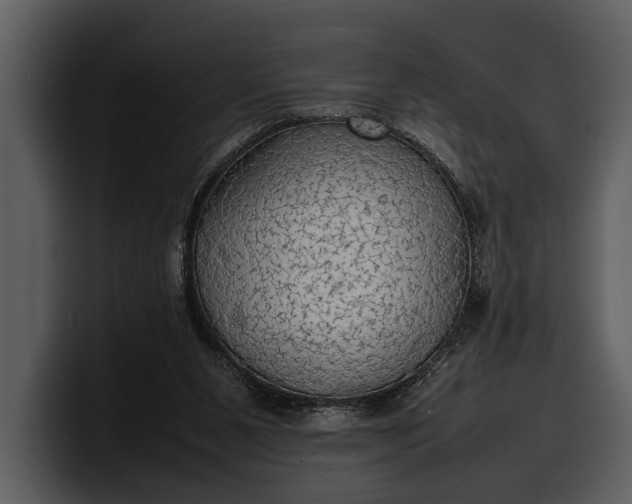 X0000100310111200806190950