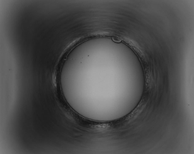 X0000100310112200806190950