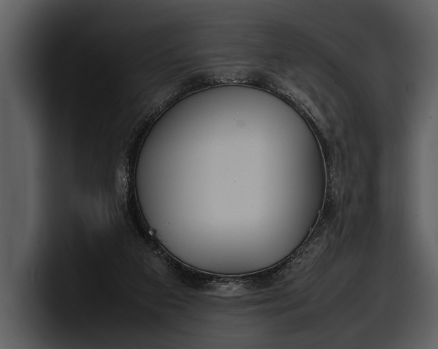 X0000100310113200806190950