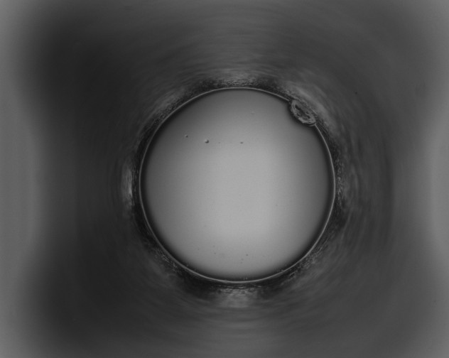 X0000100310115200806190950