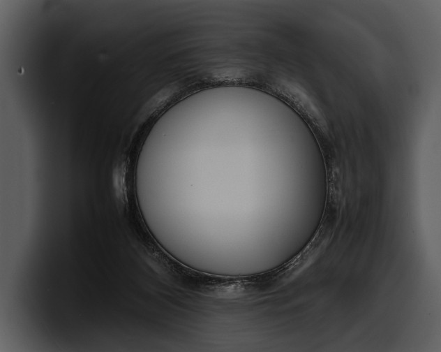 X0000100310116200806190950