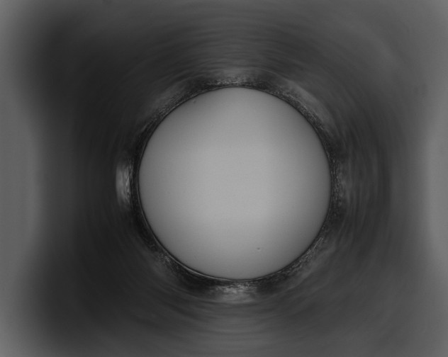 X0000100310118200806190950