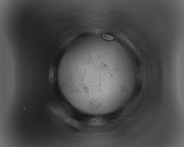 X0000100310119200806190950