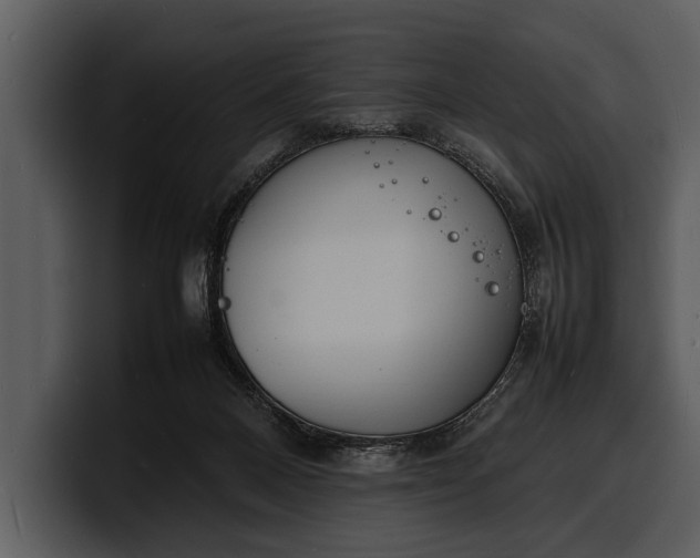 X0000100310120200806190950