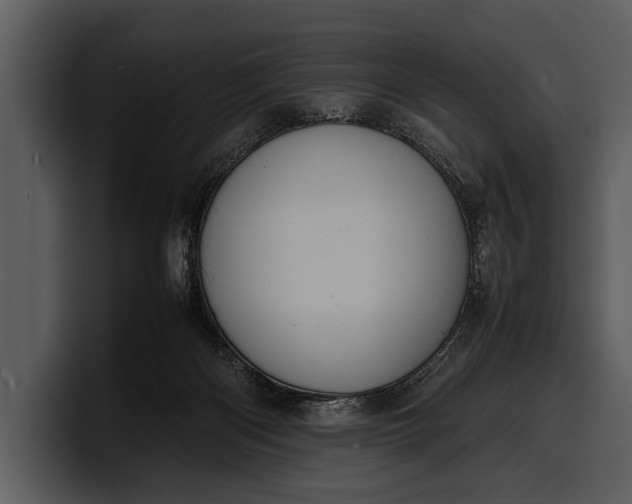 X0000100310122200806190950