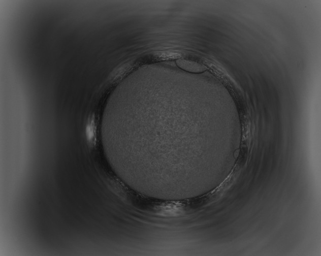 X0000100310124200806190950