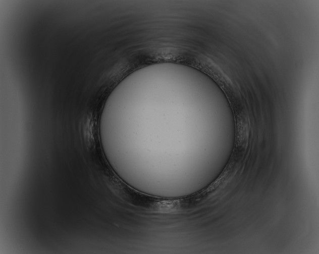 X0000100310126200806190950