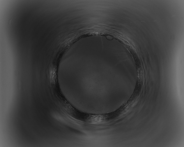 X0000100310127200806190950