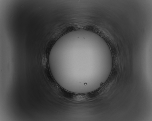 X0000100310129200806190950