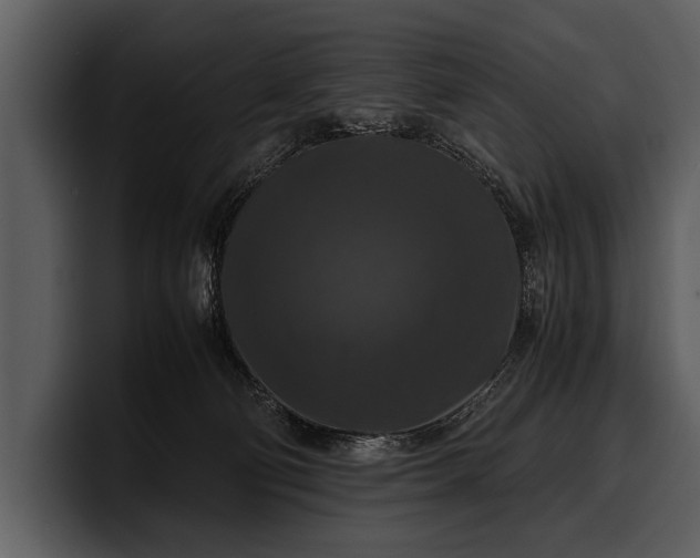 X0000100310130200806190950