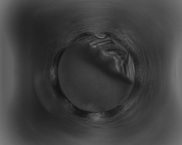 X0000100310131200806190950