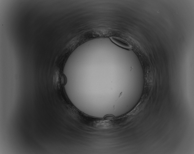 X0000100310132200806190950