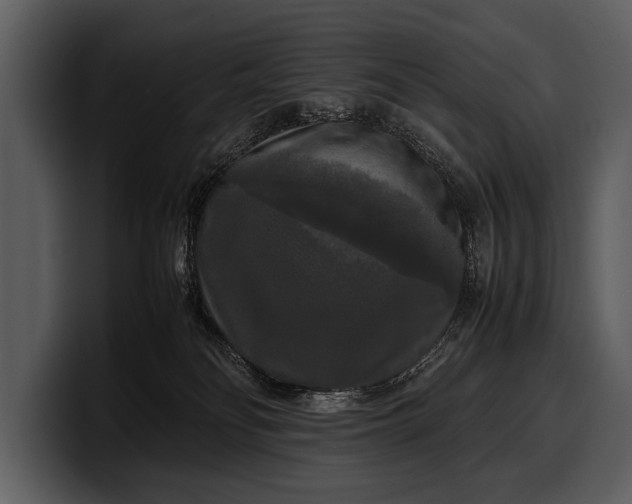 X0000100310134200806190950