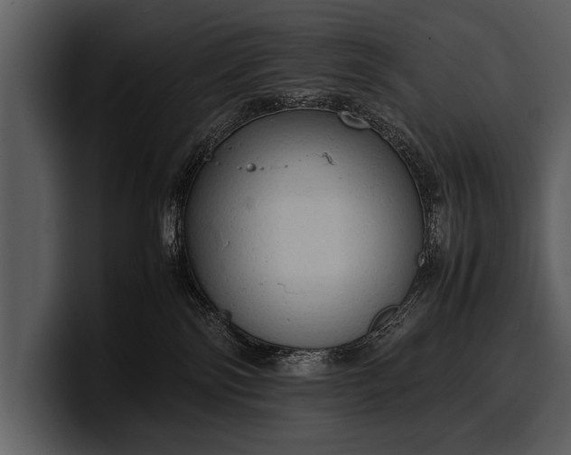 X0000100310138200806190950