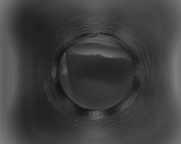 X0000100310139200806190950